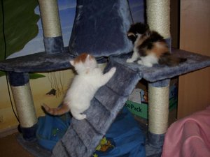 DigiCam Nici 07.06.2009 114.jpg