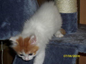 DigiCam Nici 07.06.2009 091.JPG