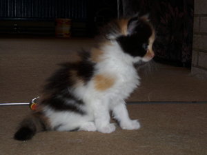 DigiCam Nici 07.06.2009 013.JPG