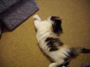 DigiCam Nici 07.06.2009 134.jpg