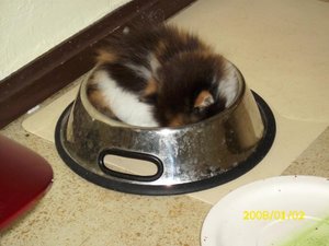 DigiCam Nici 07.06.2009 057.jpg