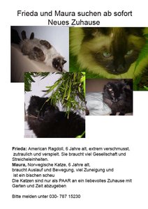 Frieda und Maura Kopie.jpg