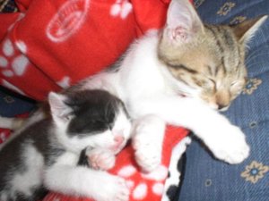 Fino und Lucy 21.jpg