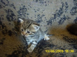 Babys im Juni 015.jpg