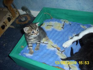 Babys im Juni 019.jpg