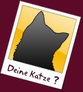 deinekatze.jpg