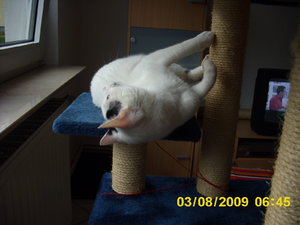 Babys im August3 002.jpg