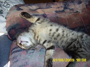 Babys im August 013.jpg