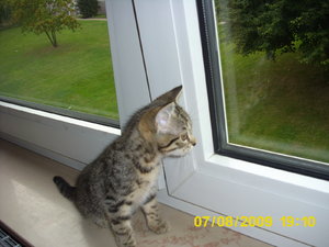 Babys im August8 057.jpg