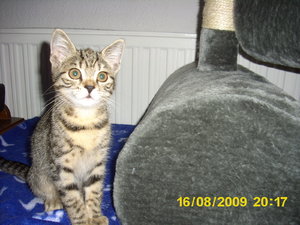 Hermine kommt 064.jpg