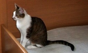 Mirka2 Große E-Mail-Ansicht.jpg