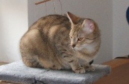 Lissi3 Große E-Mail-Ansicht.jpg