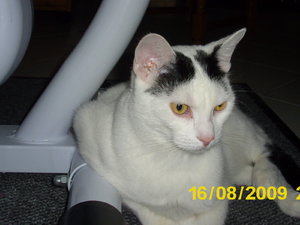 Hermine kommt August 09 035.jpg