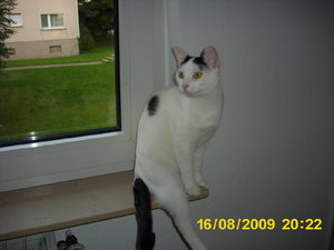 Hermine kommt August 09 033.jpg