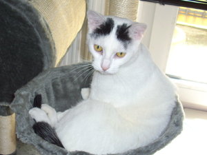 Hermine kommt August 09 015.jpg