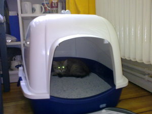 20082009177.jpg 20082009177.jpg