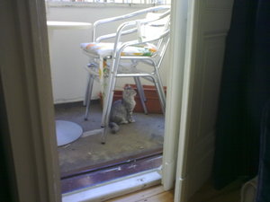 20082009179.jpg 20082009179.jpg