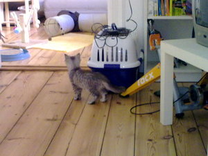 20082009183.jpg 20082009183.jpg