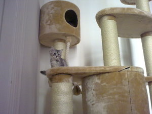 20082009184.jpg 20082009184.jpg