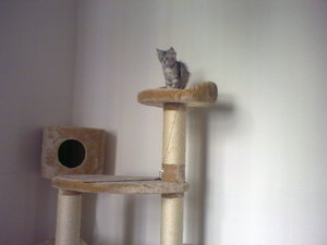 20082009197.jpg 20082009197.jpg