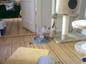 20082009198.jpg 20082009198.jpg