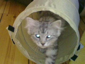 20082009205.jpg 20082009205.jpg