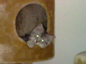 20082009209.jpg 20082009209.jpg