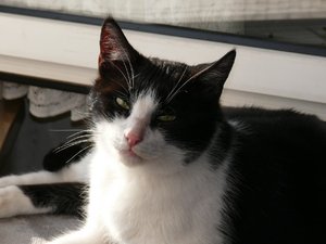 P1040647 - Kopie.jpg