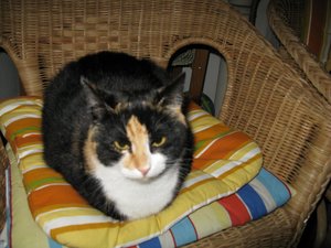 Frankreich 6.8. - 20.8.2009 032.jpg