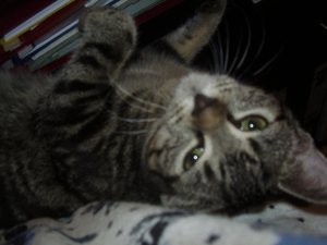 Kopie von PC010019.jpg