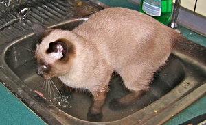 laternen + minas 037.jpg