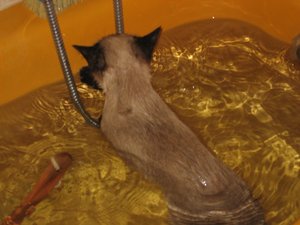 minas bad + schrank 013.jpg