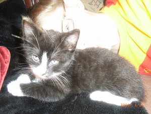 Judy & Kids (6 Wochen) 007.jpg