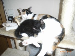 Judy & Kids (6 Wochen) 002.jpg