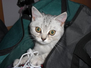 Lorelai & Fidelia 003.JPG