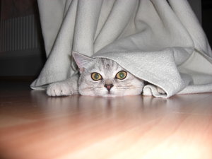 LoriFidelia September 040.JPG