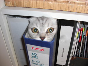 Lorelai & Fidelia 101.JPG