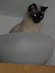 minas bad + schrank 007.jpg