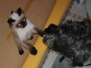 laternen + minas 041.jpg