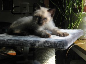 minas 18-9-04 085.jpg