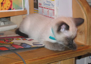 minas 18-9-04 025.jpg