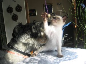 minas 18-9-04 099.jpg