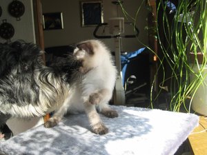 minas 9 04 047_2.jpg