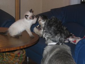 minas 18-9-04 027.jpg