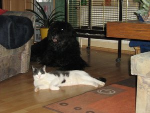 Minki u. Berry 024.jpg