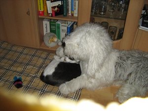 Minki u. Berry 027.jpg