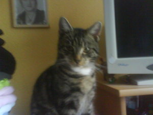 DSC02500 - Kopie.JPG