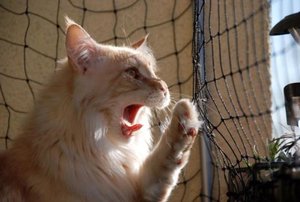 Müde - image00005.jpg