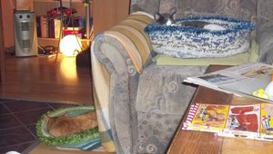 Minki, Bonny und Berry 262.jpg