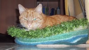 Minki, Bonny und Berry 259.jpg